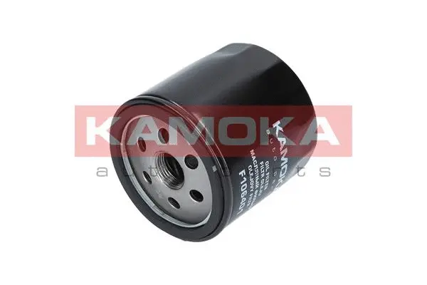 Oil Filter (F106401)