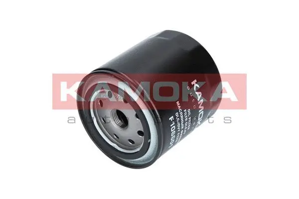Oil Filter (F106601)