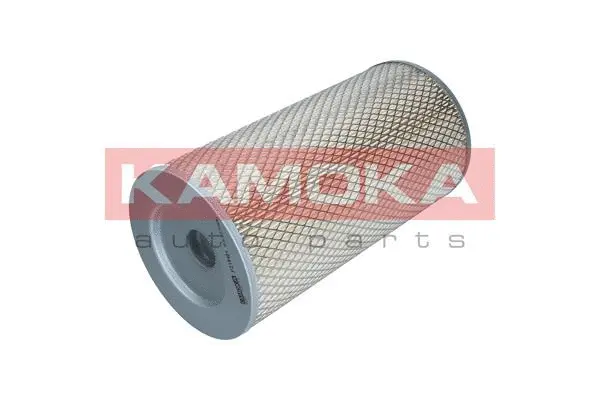 Air Filter (F216401)