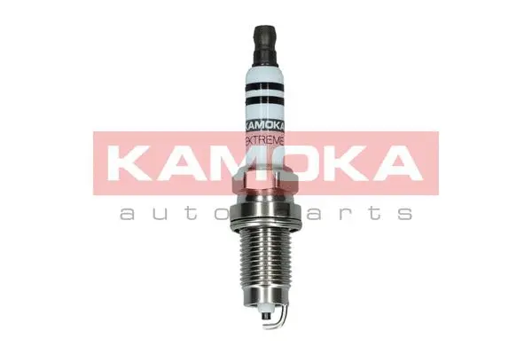 Spark Plug (7090541)