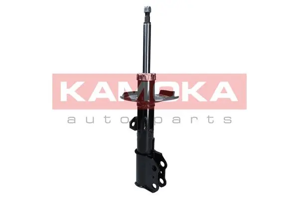 Shock Absorber (2000276)