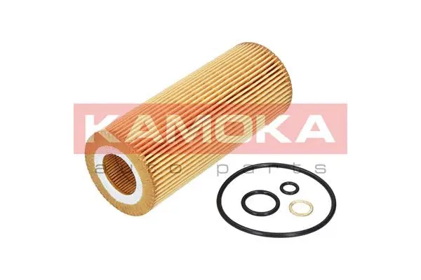 Oil Filter (F109601)