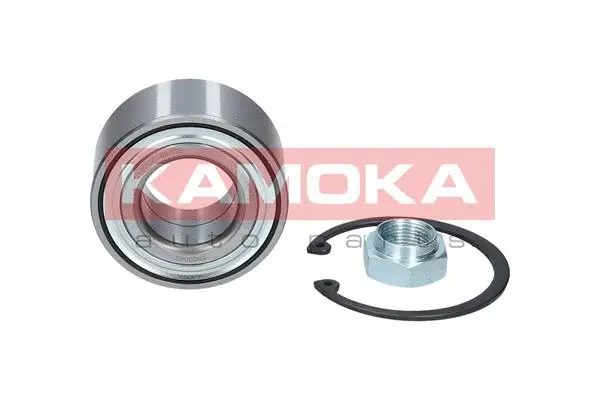 Wheel Bearing Kit (5600082)