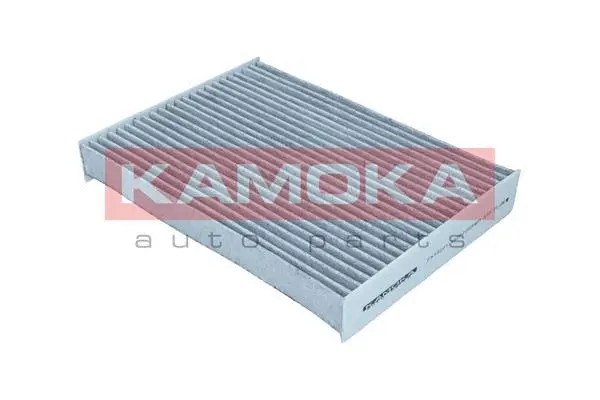 Filter, cabin air (F519201)
