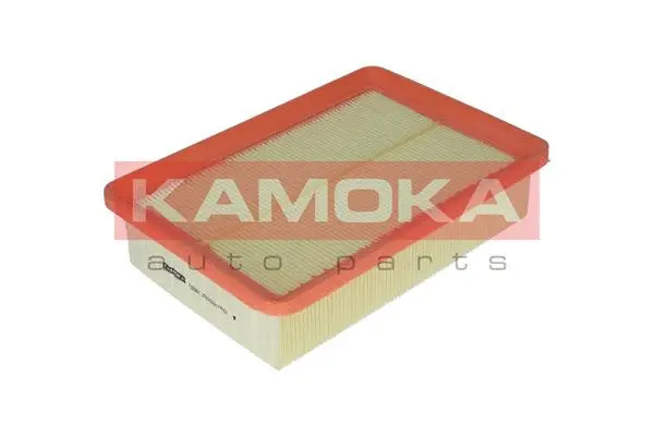 Air Filter (F205801)