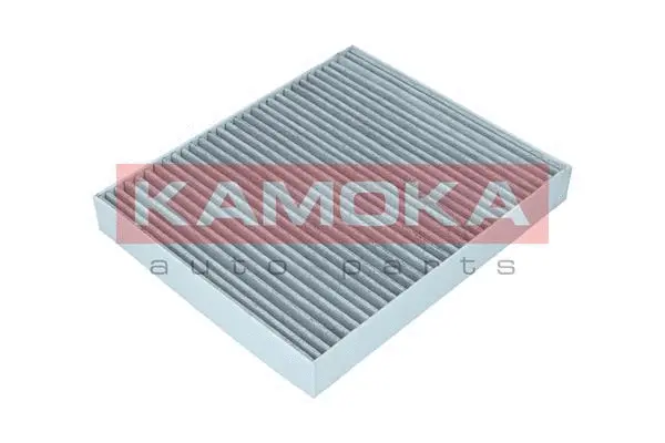 Filter, cabin air (F513001)