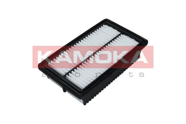 Air Filter (F238501)