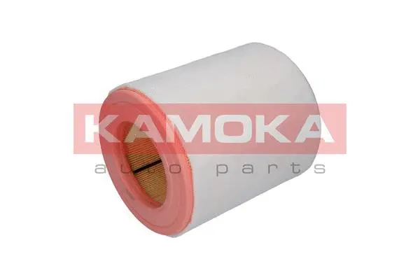 Air Filter (F237001)