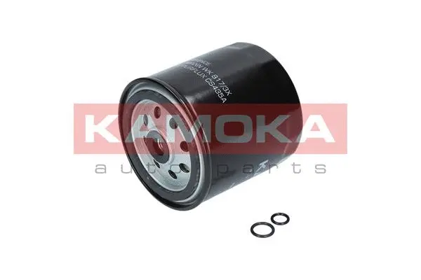 Fuel Filter (F300601)