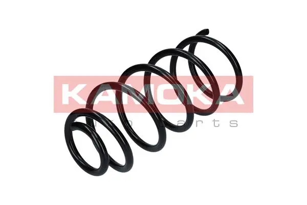 Suspension Spring (2110060)