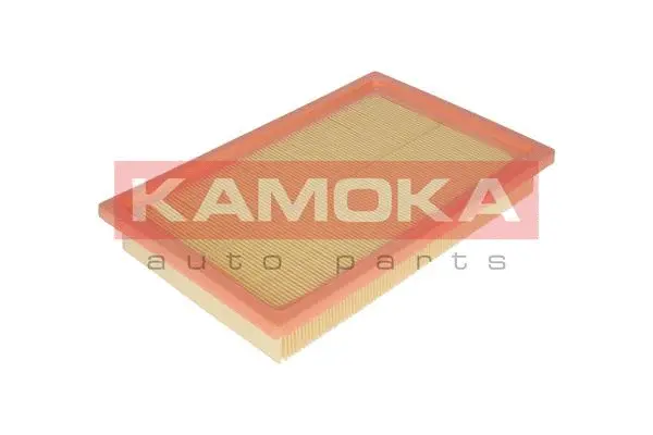 Air Filter (F206801)