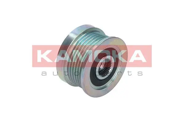 Alternator Freewheel Clutch