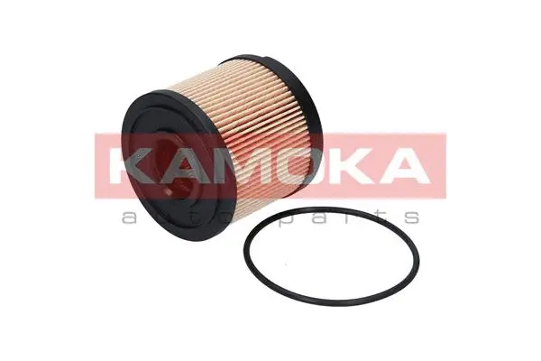 Fuel Filter (F305101)