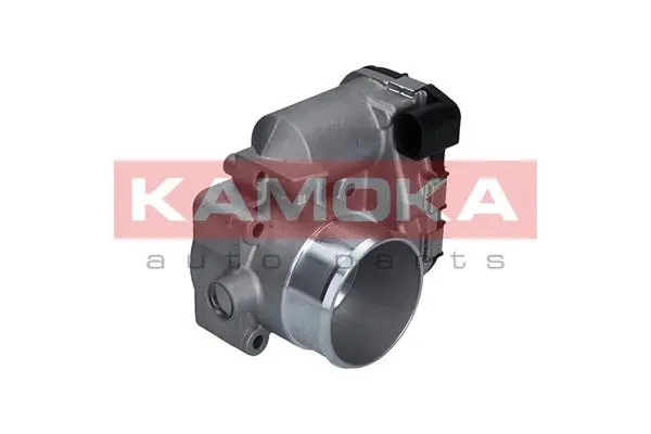 Throttle Body (112009)