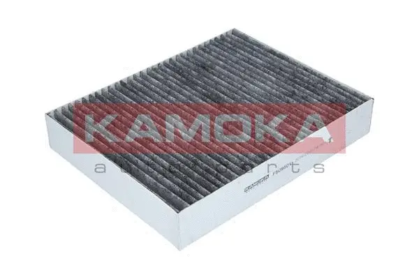 Filter, cabin air (F509501)