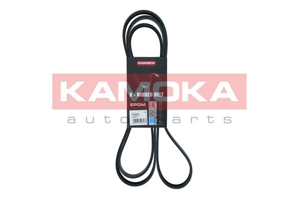 V-Ribbed Belt (7016221)