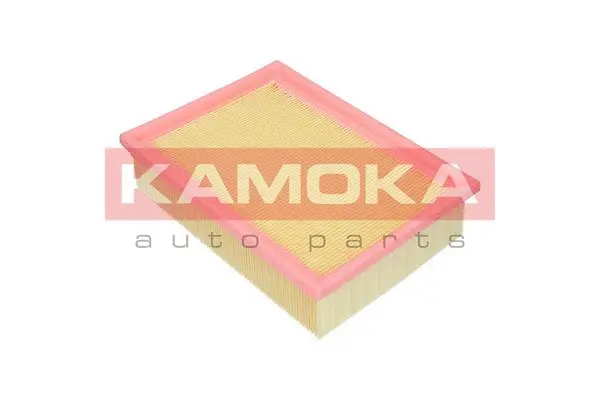 Air Filter (F218401)