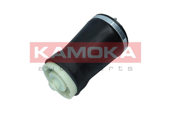 Air Spring, suspension