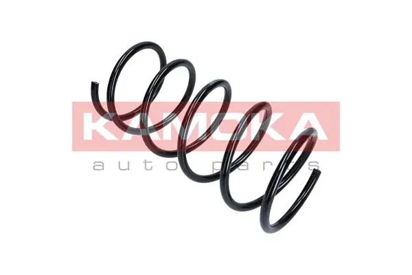 Suspension Spring (2110212)