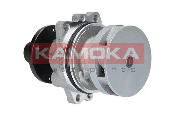 Water Pump, engine cooling (T0058)