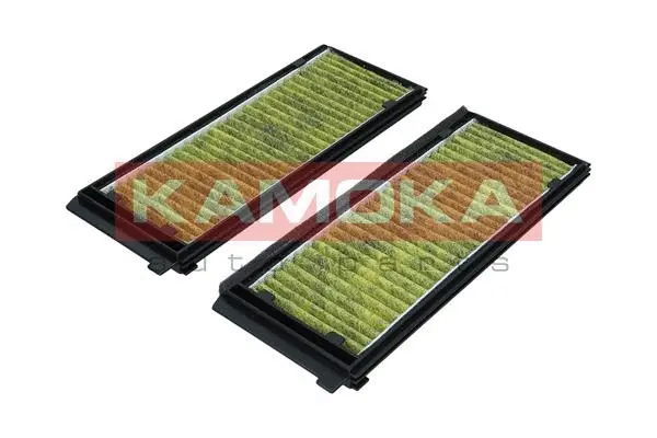 Filter, cabin air (6080148)