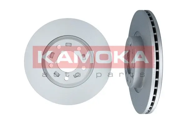 Brake Disc (1031123)