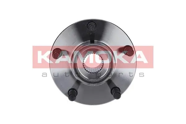 Wheel Bearing Kit (5500152)