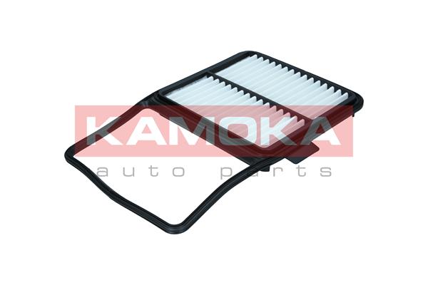 Air Filter (F254501)