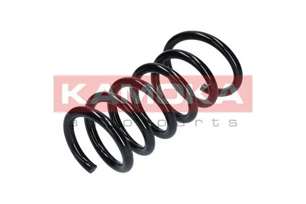 Suspension Spring (2120273)