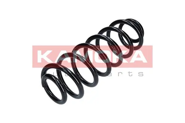 Suspension Spring (2120224)