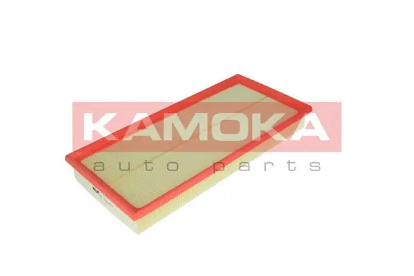 Air Filter (F219901)