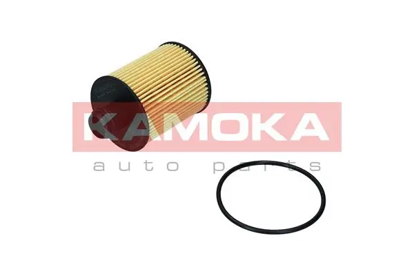 Oil Filter (F116801)
