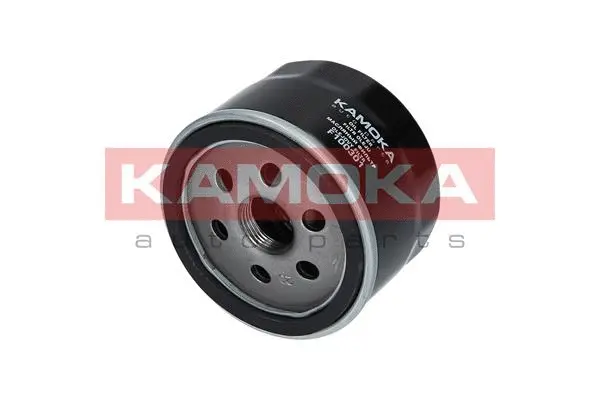 Oil Filter (F100301)