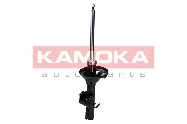 Shock Absorber (2000366)