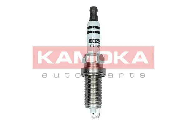 Spark Plug (7090035)