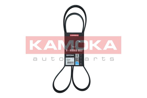 V-Ribbed Belt (7017016)