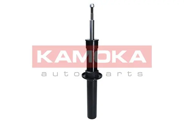 Shock Absorber (2000516)