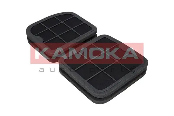 Filter, cabin air (F507101)