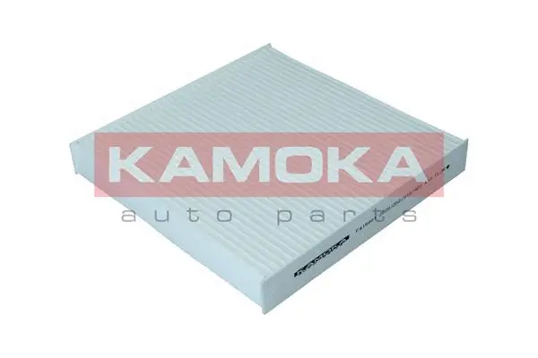 Filter, cabin air (F419901)