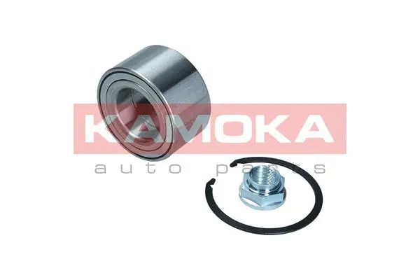 Wheel Bearing Kit (5600182)