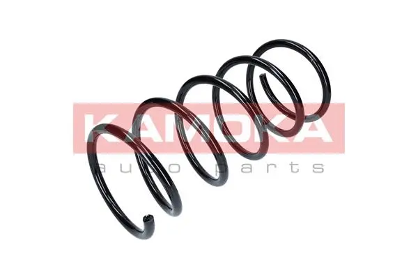 Suspension Spring (2110165)