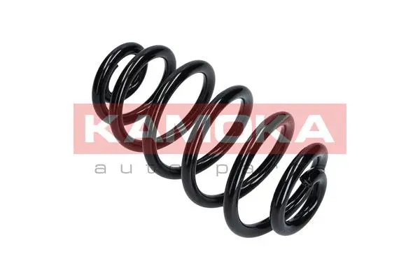 Suspension Spring (2120109)