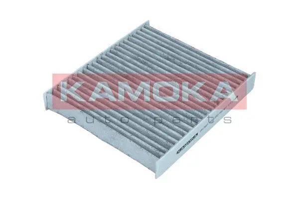 Filter, cabin air (F517801)