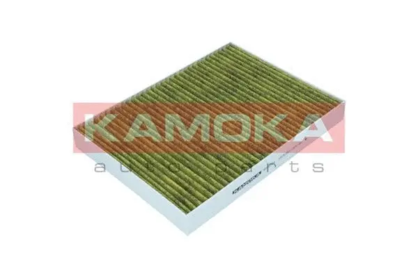 Filter, cabin air (6080054)