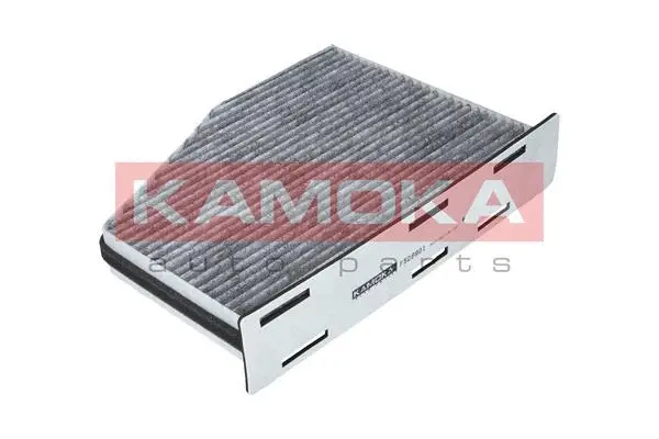 Filter, cabin air (F506901)