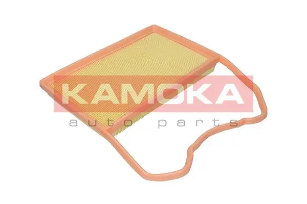 Air Filter (F251001)