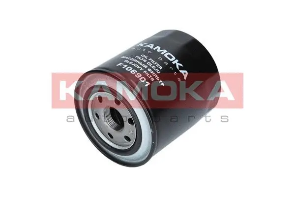 Oil Filter (F106901)