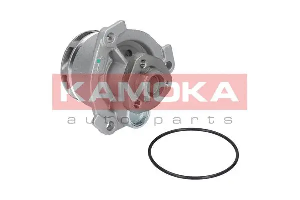 Water Pump, engine cooling (T0234)