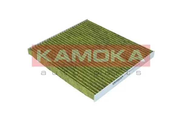 Filter, cabin air (6080086)