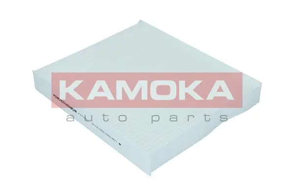 Filter, cabin air (F417301)